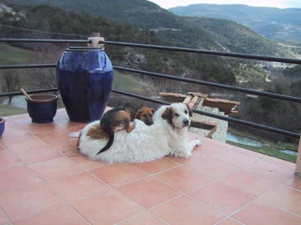 med_Der beste Platz.jpg (599 x 448)